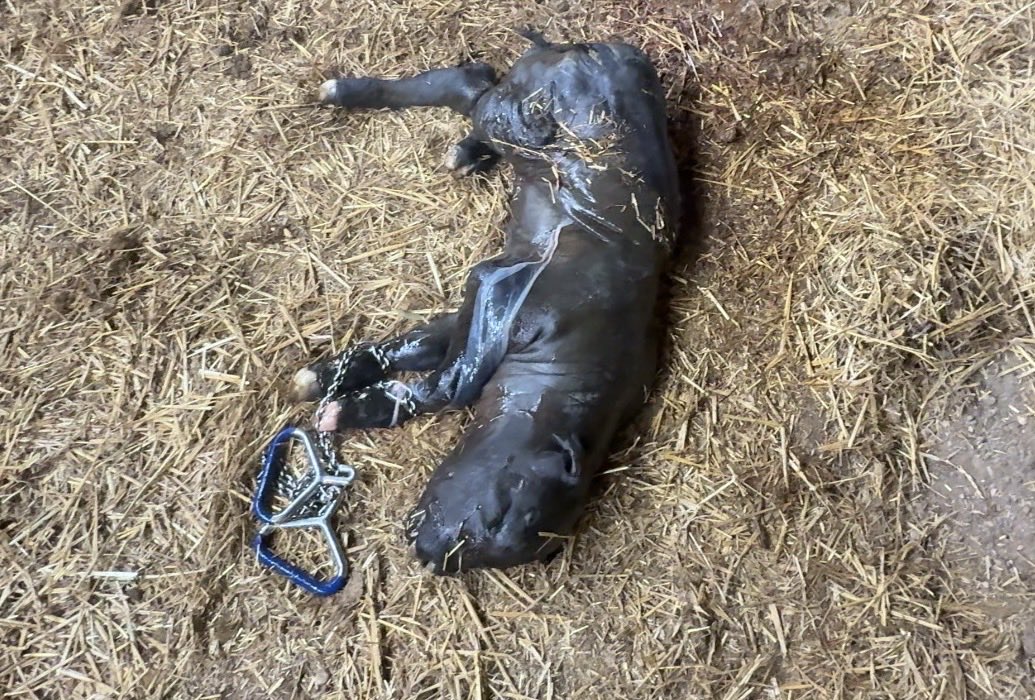 QuickDickMcDick 🇨🇦 tweet media