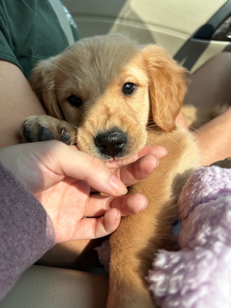 jackie ✿ tweet media