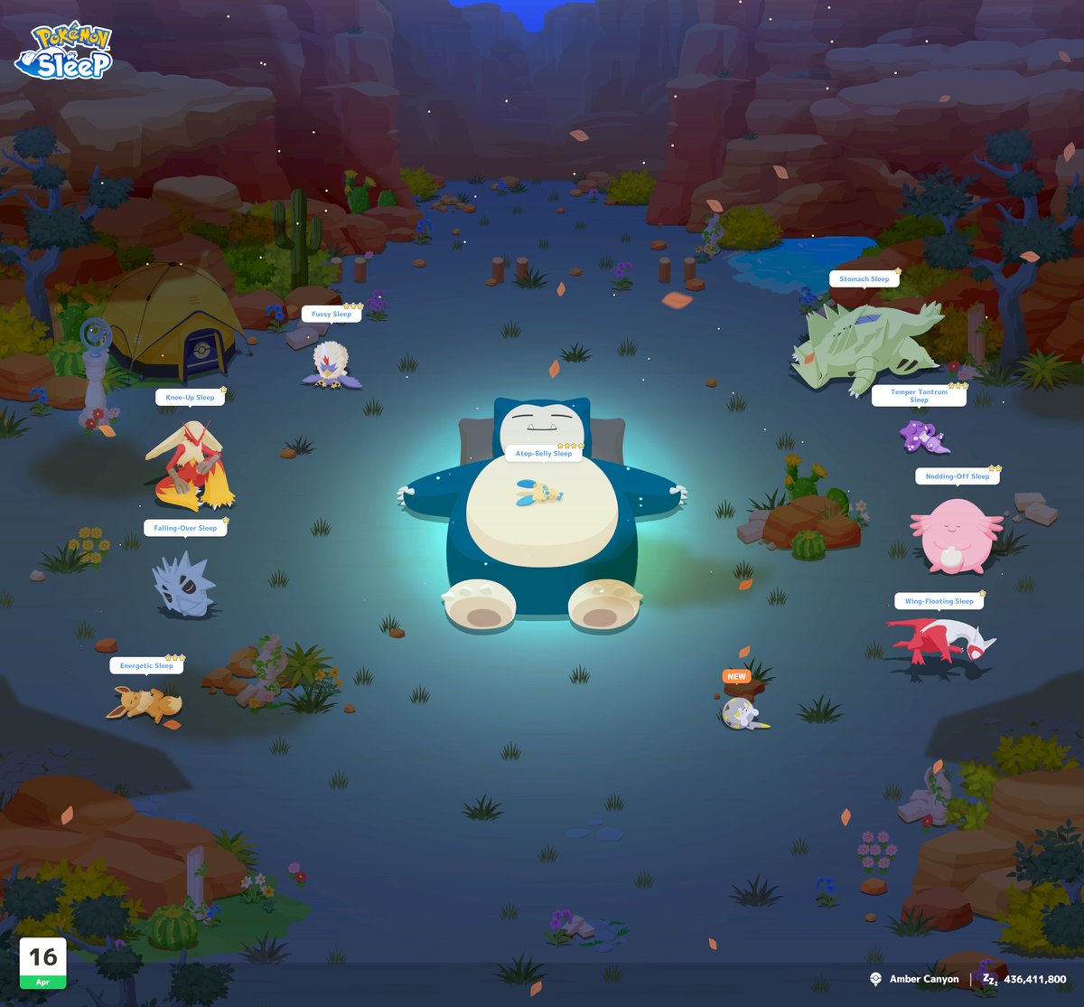 アーノルド/ウォンバ tweet media