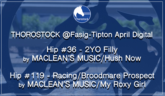 ThorostockLLC's tweet image. 🚨 Bidding is NOW open on our fantastic @FasigTiptonCo April Digital fillies!
🔵 bit.ly/TSFTDIGAPR26
#StockUp #FasigDigital