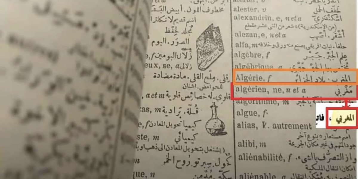 pinf ⵣ🏴📚 tweet media