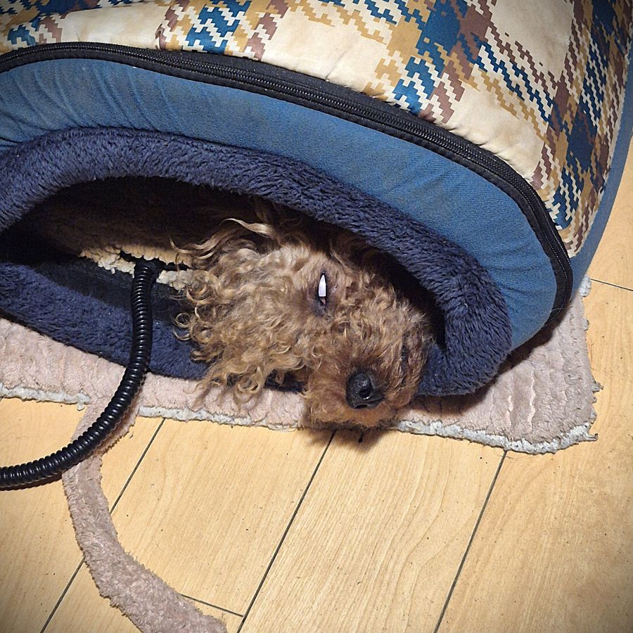 Rockin' & Rustin & Rufan Ririn tweet media