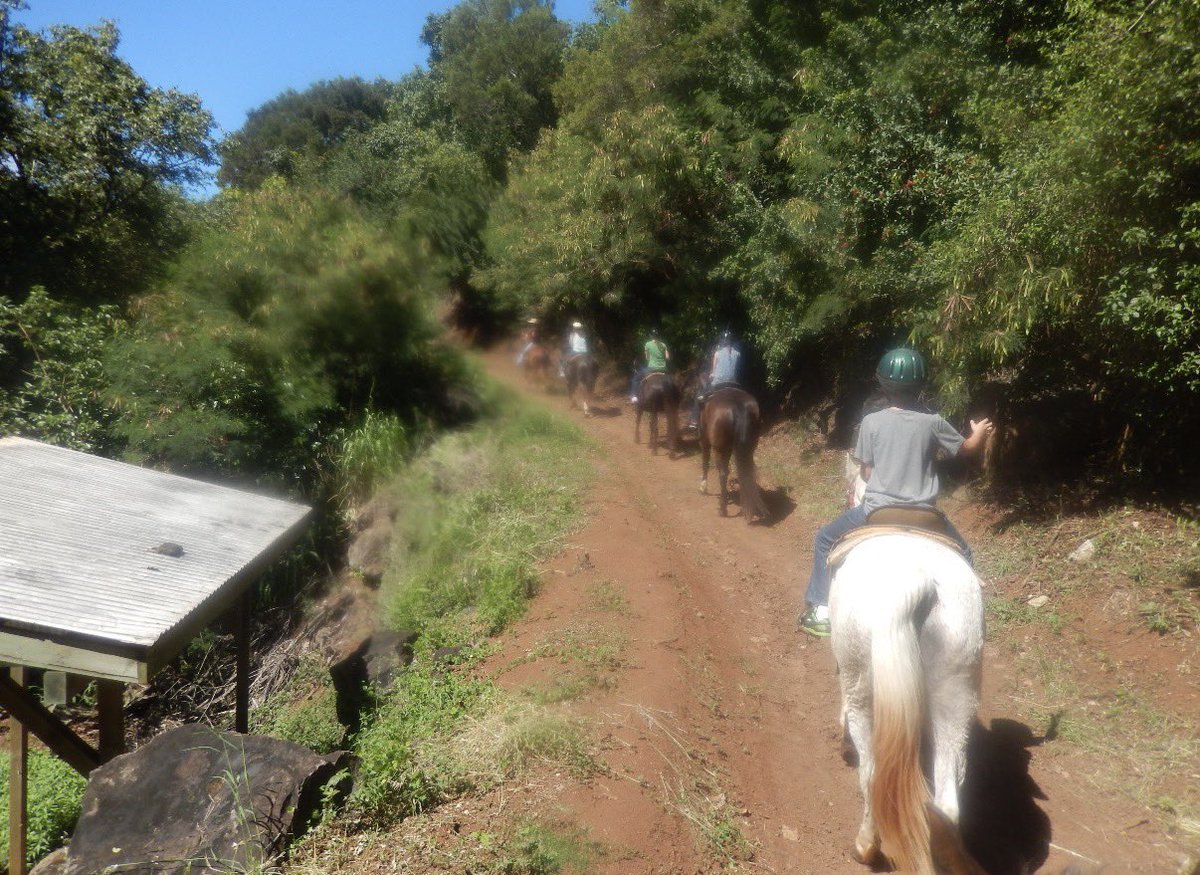 Elizabeth tweet media