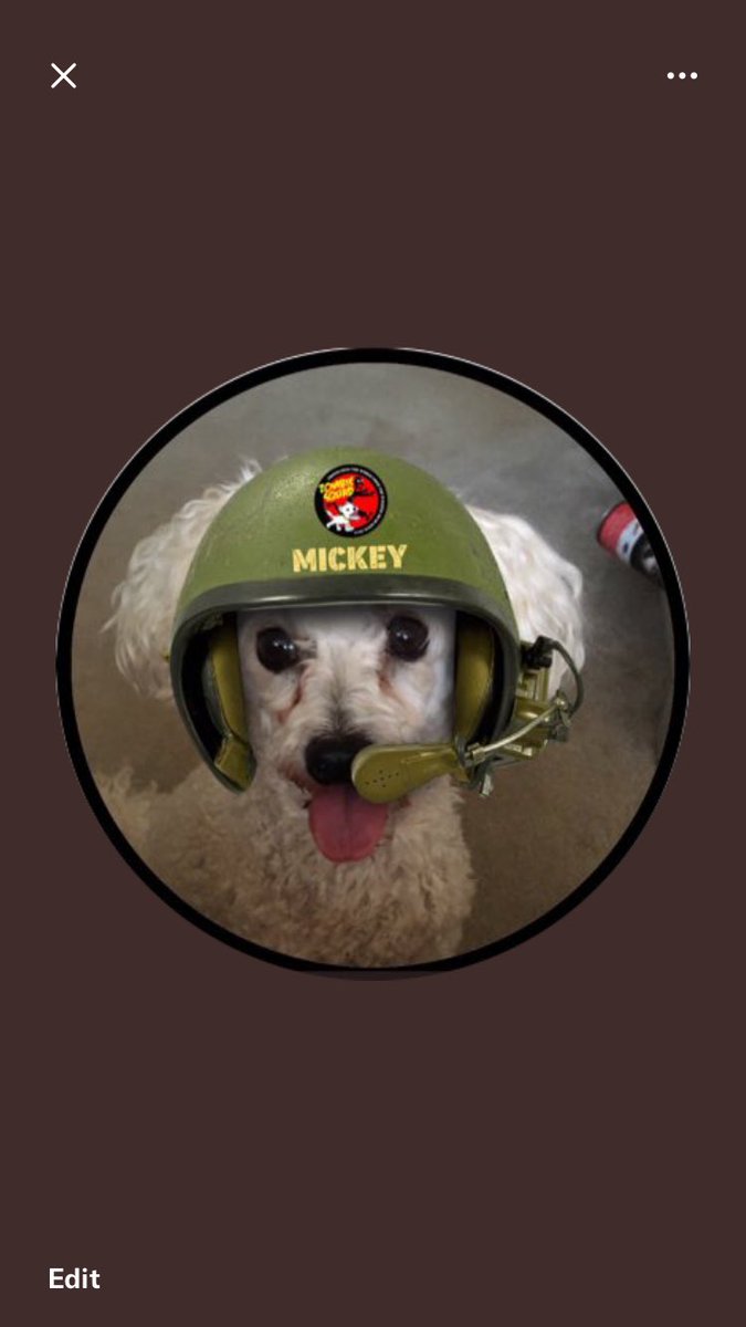 Sue & Major Mickey tweet media