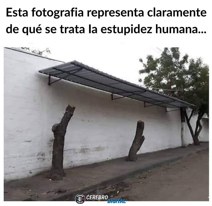 Alena (@r_bruja) on Twitter photo 