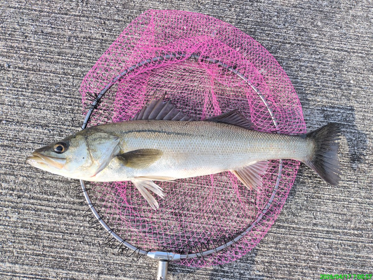 島ちゃん黒魂🌈 tweet media