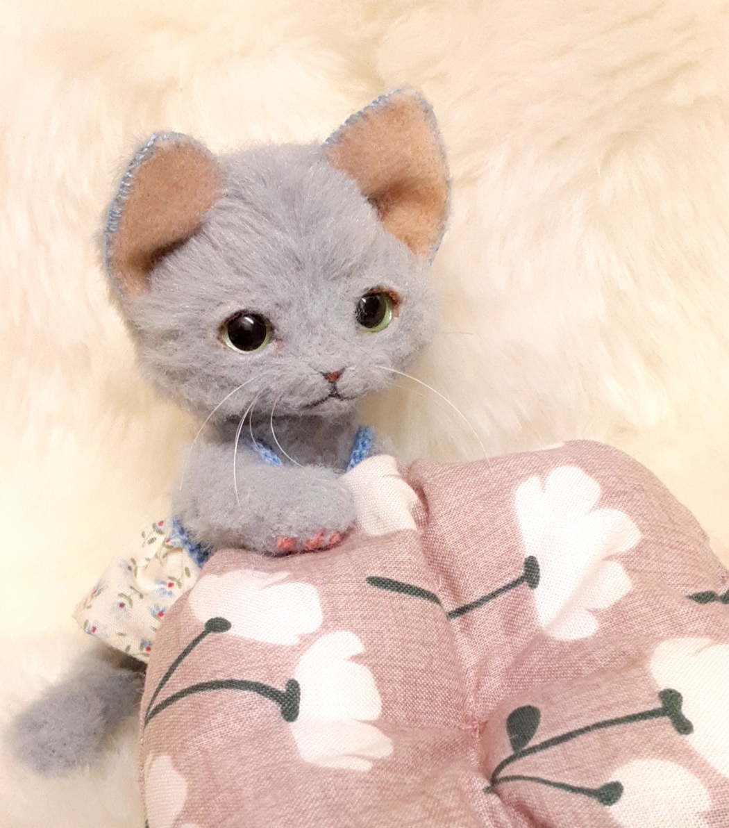 たぶん、ねこ tweet media
