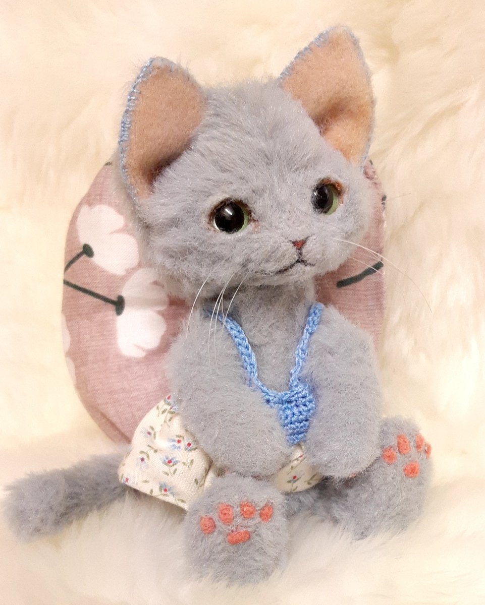 たぶん、ねこ tweet media