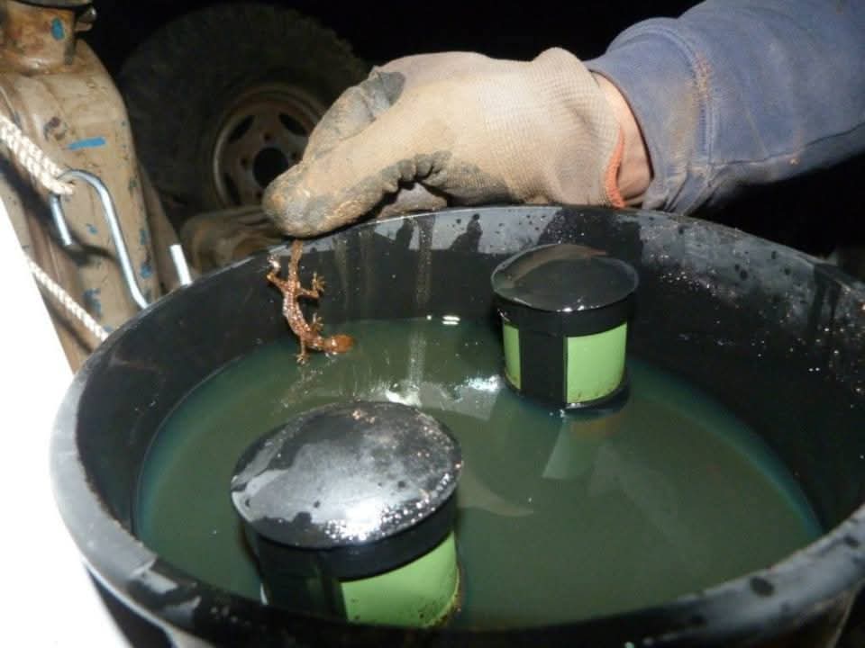 Sam Watson tweet media