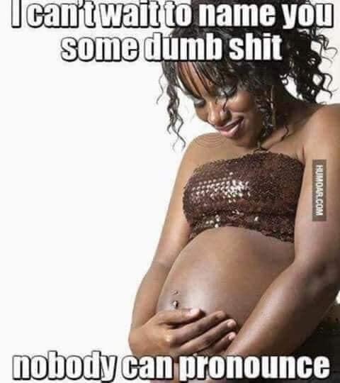 deadheaddemocrat tweet media