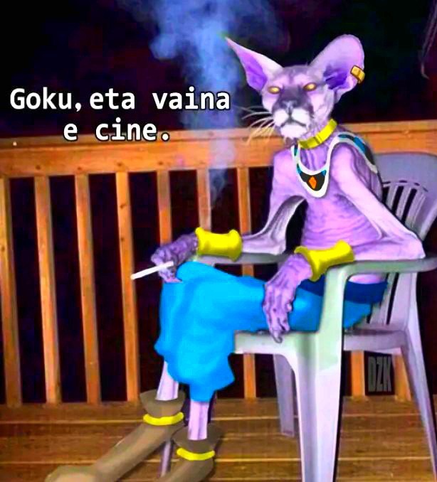 Animetrends tweet media