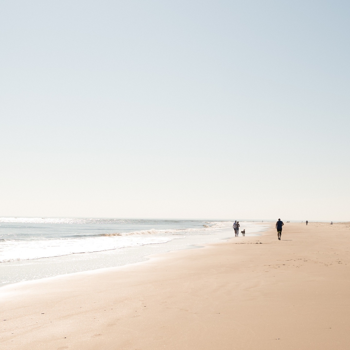 WildDunesResort's tweet image. That feeling of pure contentment? Isle of Palms beach days have that effect on people. 🐚 

Photo: @sabrinaseeleyphotography

#WildDunesResort #SpringTravel #BeachDay #IsleOfPalms