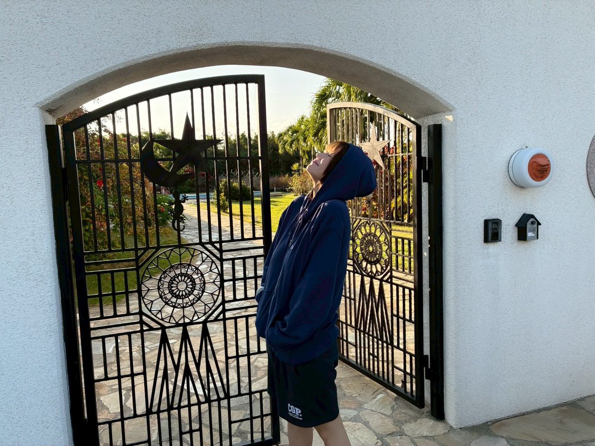 月花めもり tweet media