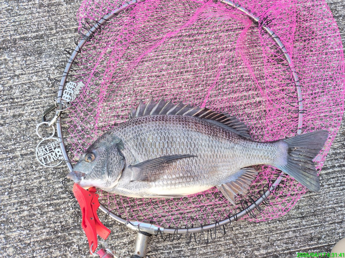 島ちゃん黒魂🌈 tweet media