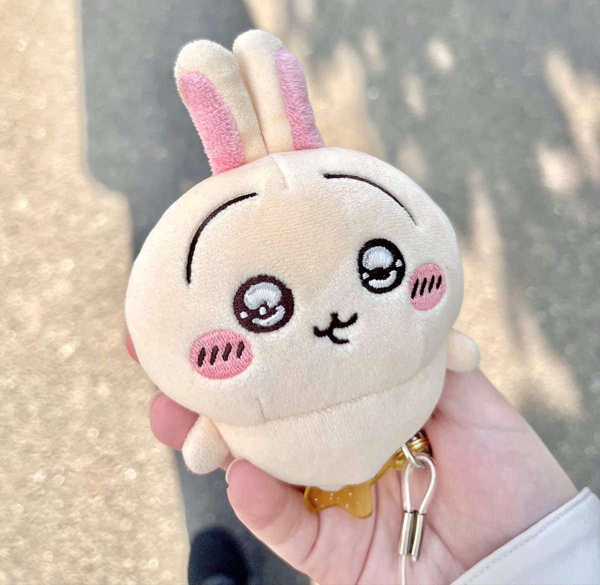 ぽちた🐇🌷 tweet media