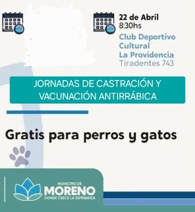 protegealanimal's tweet image. MORENO

CASTRACIONES: los turnos DEBERÁN SOLICITARSE PREVIAMENTE en el lugar donde se realice la jornada.

#MORENO #JARDINES1 #SANTABRÍGIDA #PASODELREY #TRUJUI #CUARTELV #LAREJA #LAPROVIDENCIA #FCOÁLVAREZ  #ZONAOESTE #GRANBSAS #BSAS #CONURBANO