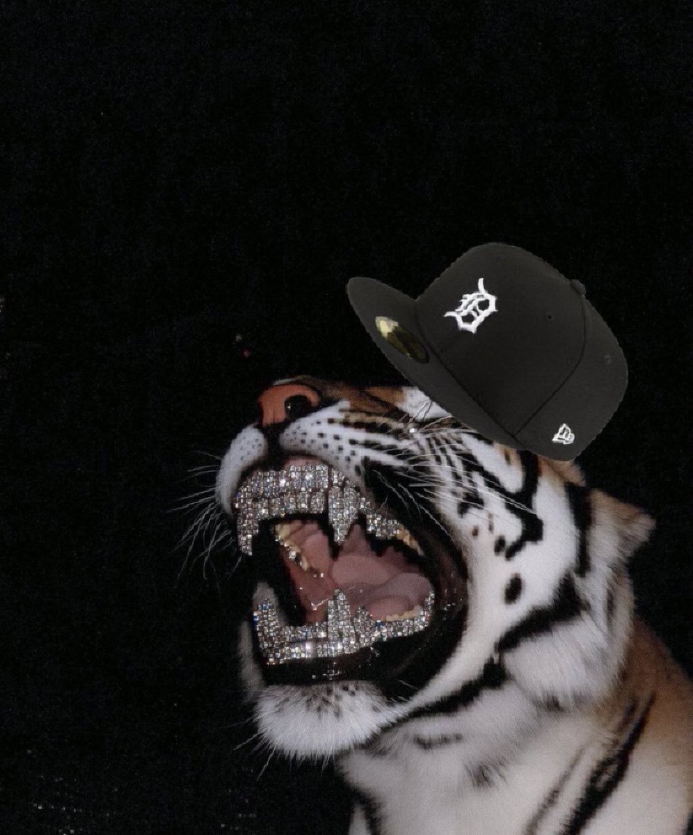 Detroit Tigers memes tweet media