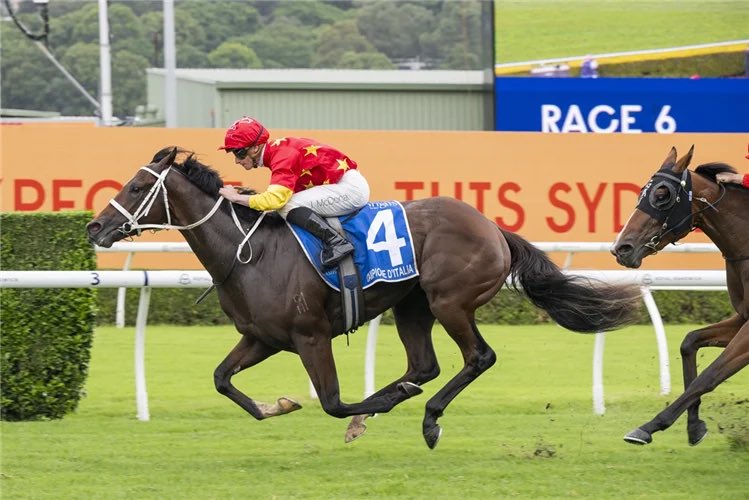 Racing and Sports tweet media