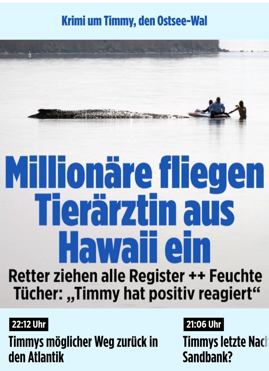 iM Clausewitz tweet media