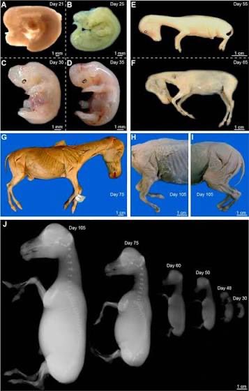 one year of conking 🐢 🪶 tweet media