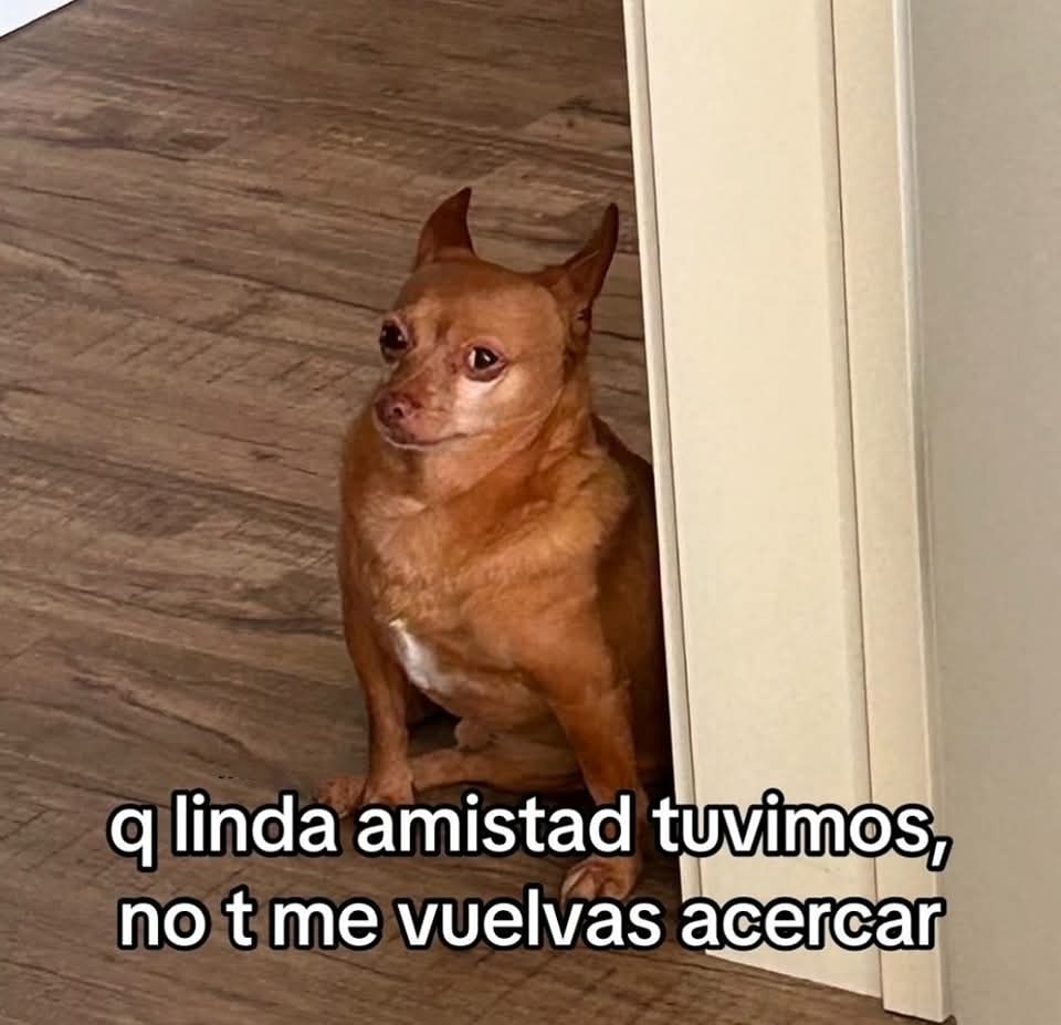 M O T I V A N D O T E (@m0tivand0te) on Twitter photo 