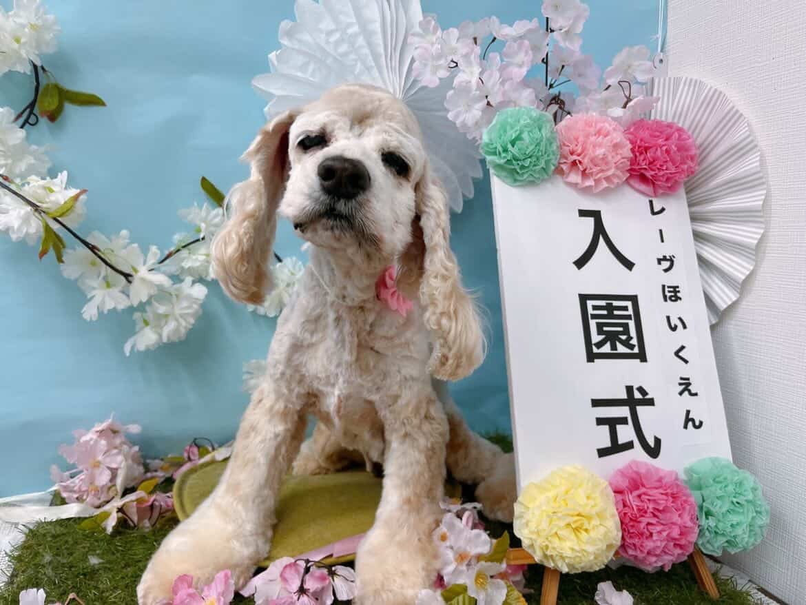 ぜんちゃん tweet media