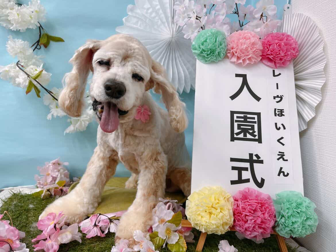 ぜんちゃん tweet media