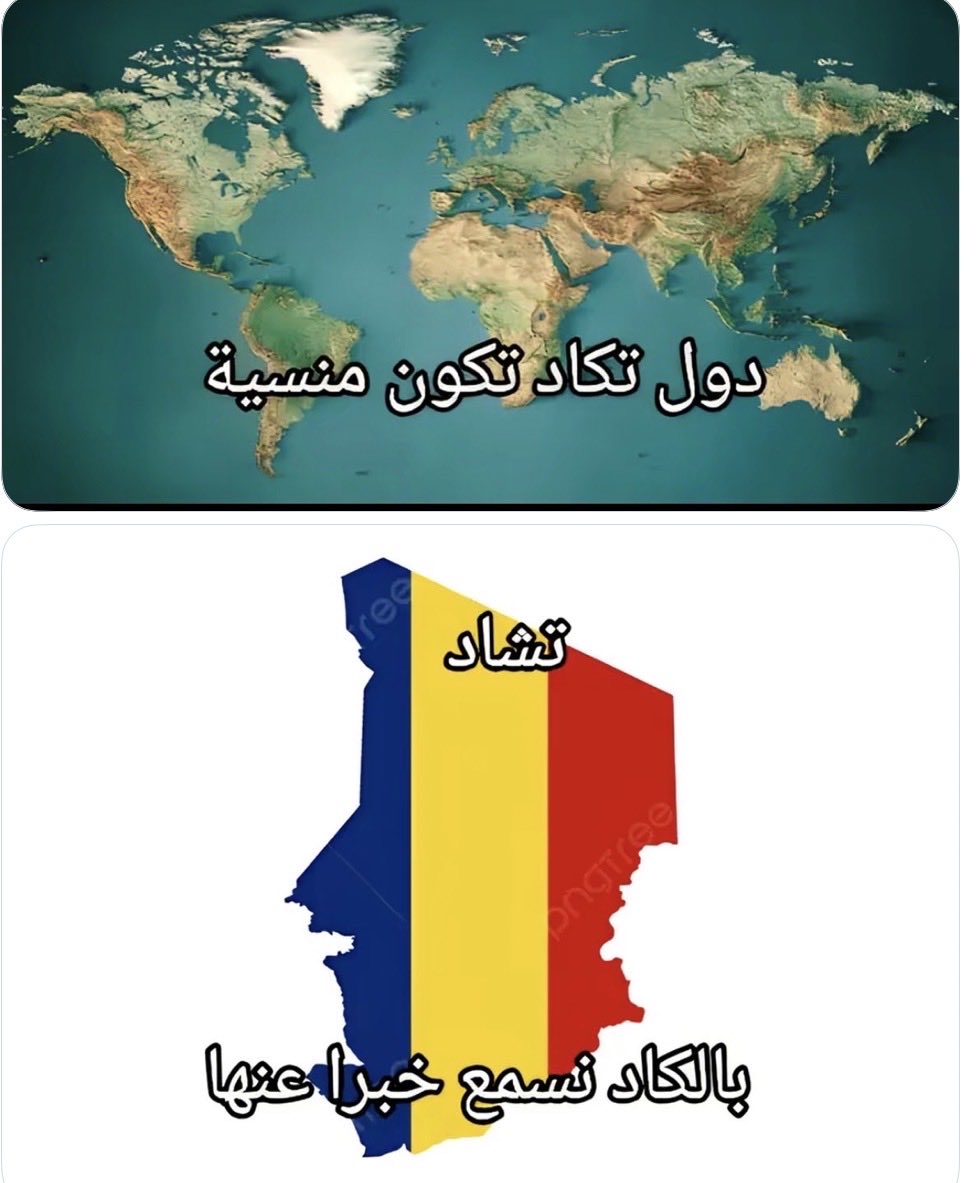 Sara elbadawi 🇵🇸🇸🇩 tweet media