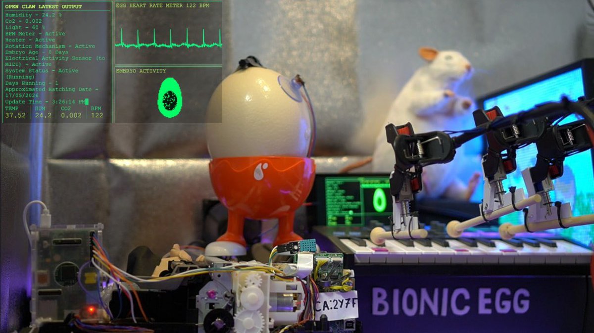 Bionic Egg tweet media