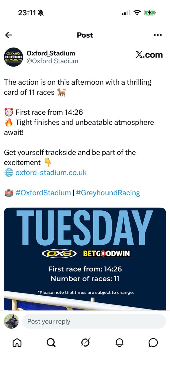 Matt tweet media