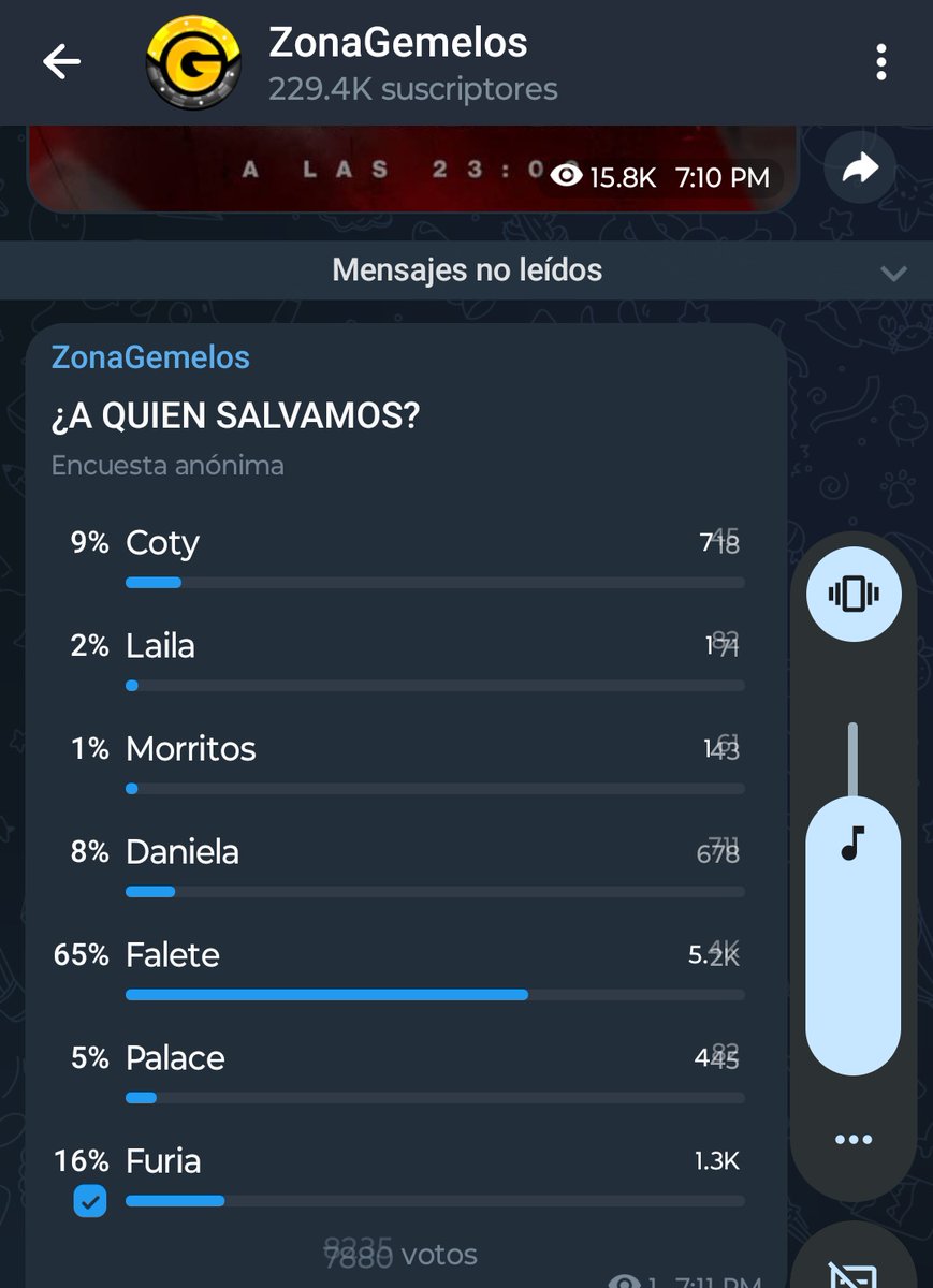 piratagh55 tweet media