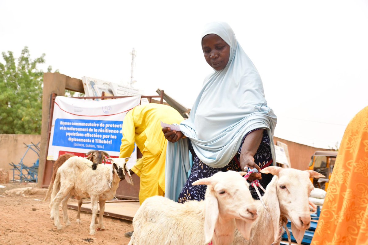 ONG DIKO tweet media