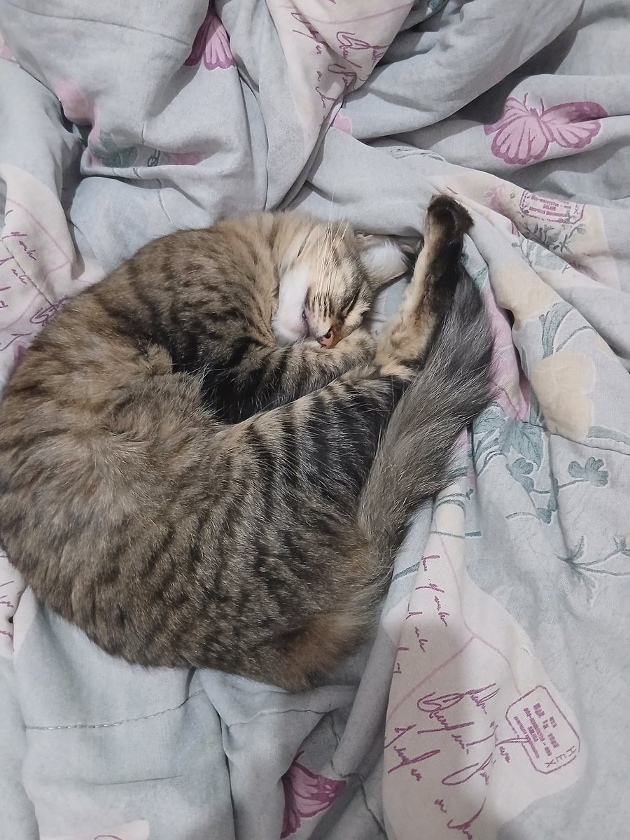 laura nádega esquerda do hyunjin |𝙑𝙄𝙐 𝙊 𝙎𝙆𝙕 tweet media