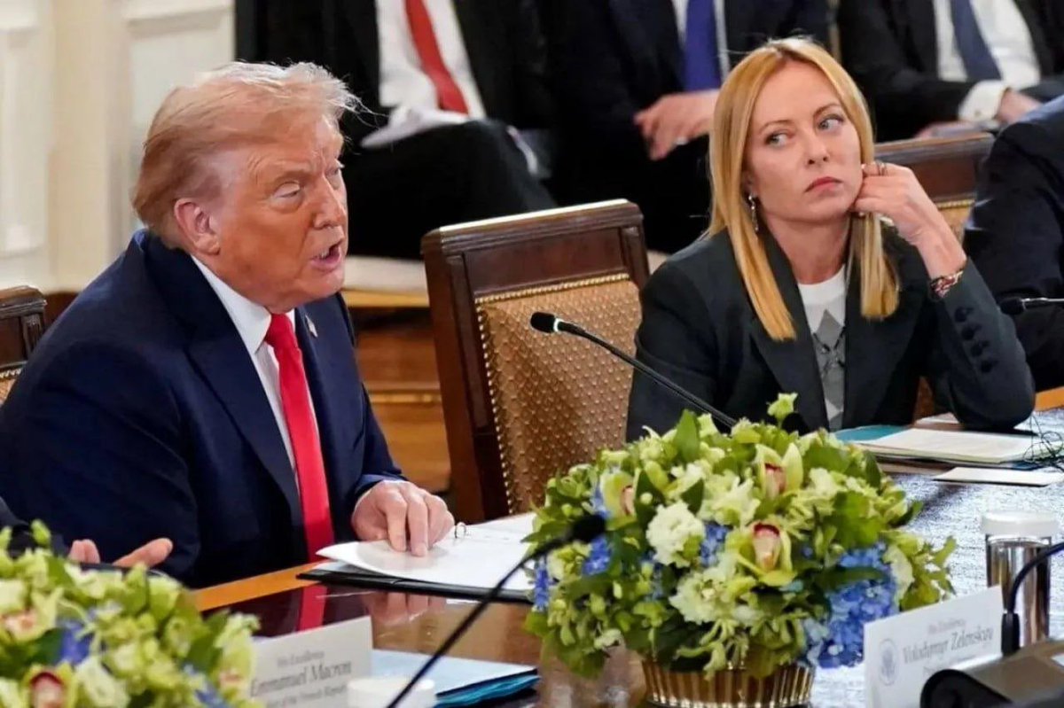 Netice Haber tweet media