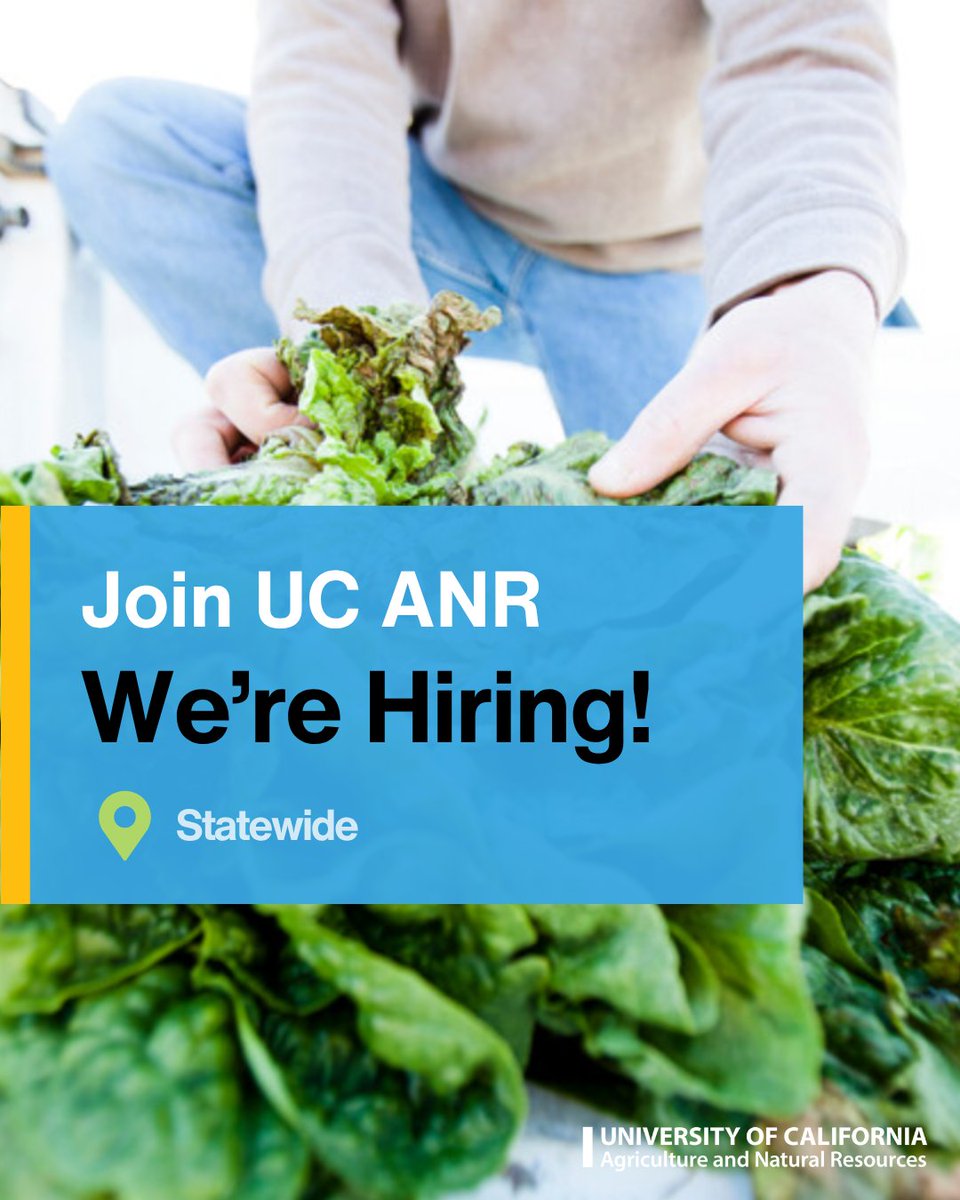 ucanr's tweet image. We’re #hiring!
Join us in advancing work across ag, nutrition, natural resources, and more. We are seeking both academic and staff professionals who are ready to make a meaningful impact across California.

Explore current opportunities and apply today: ucanr.edu/jobs