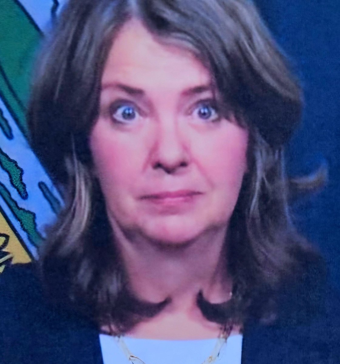 WeimaDiane's tweet image. Gerry Mander? I never met the guy?