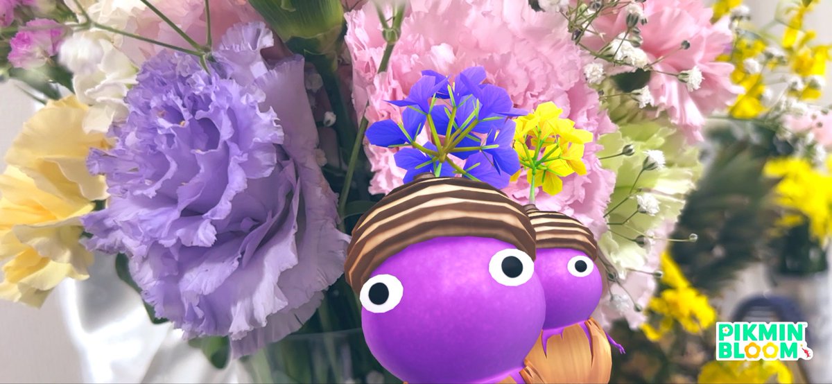 saku💜紫ピ tweet media