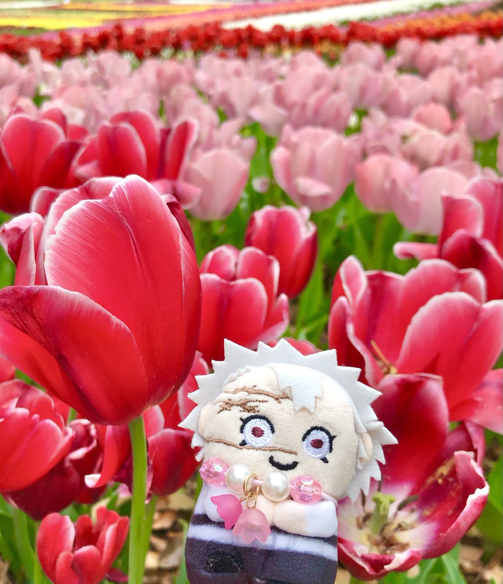 🍃＼  ｷﾚｲﾀﾞｧ !  ／