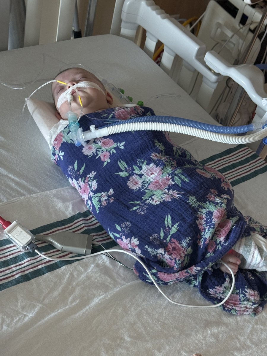 Robert Wayne DeMonte tweet media