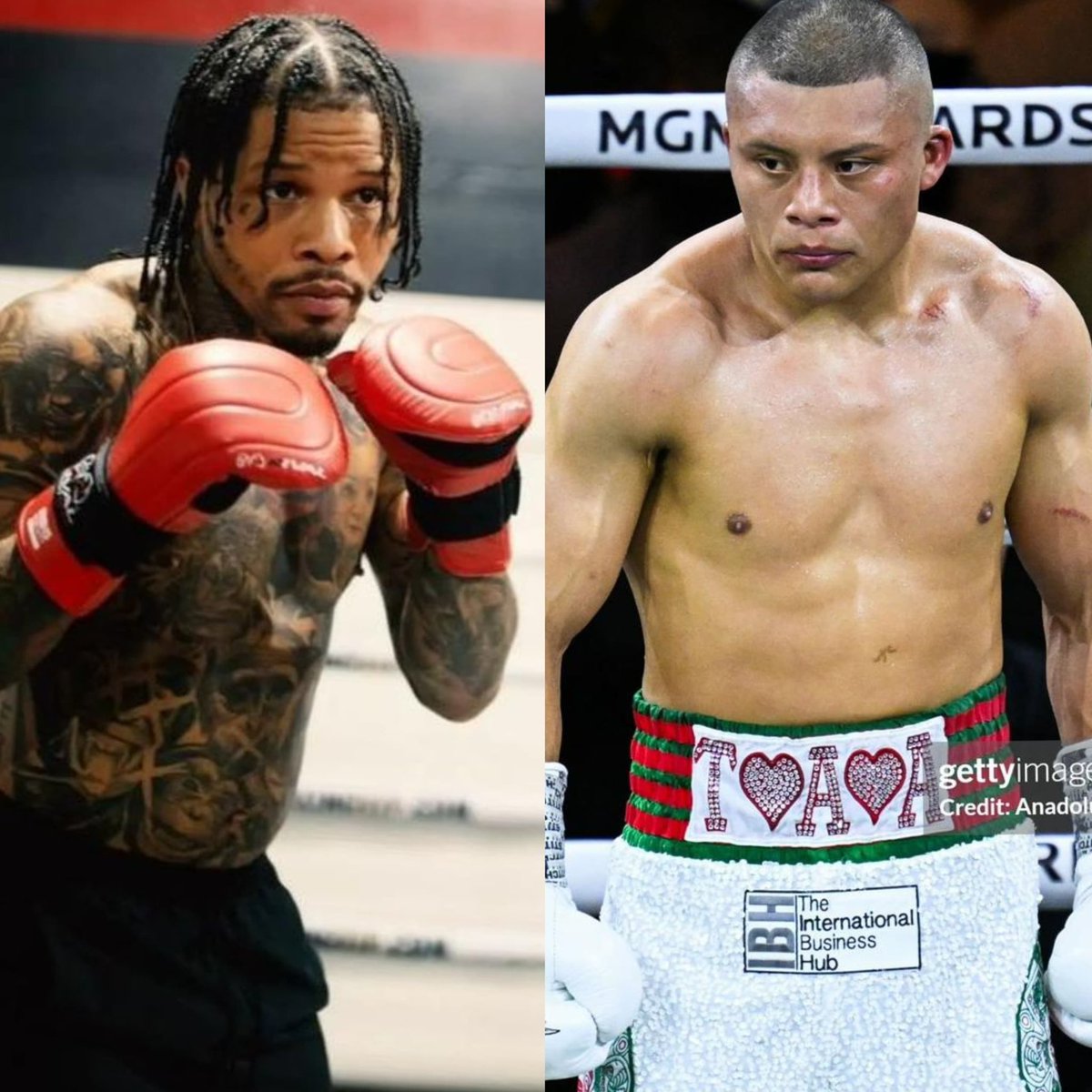 BOXING 🥊🥊 tweet media