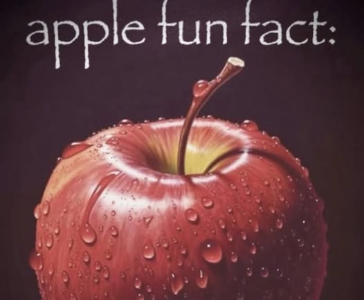 memesnobottomtext@bsky.social (@memesnobttmtext) on Twitter photo 