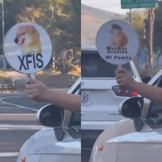 Kevin Vega tweet media