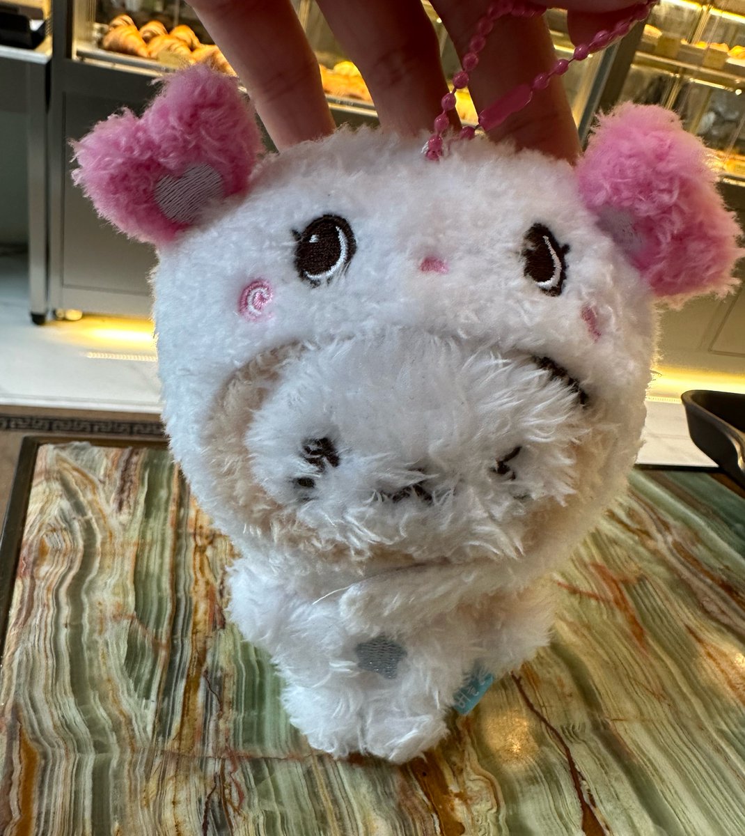 🐨₺ƾ🍡 tweet media