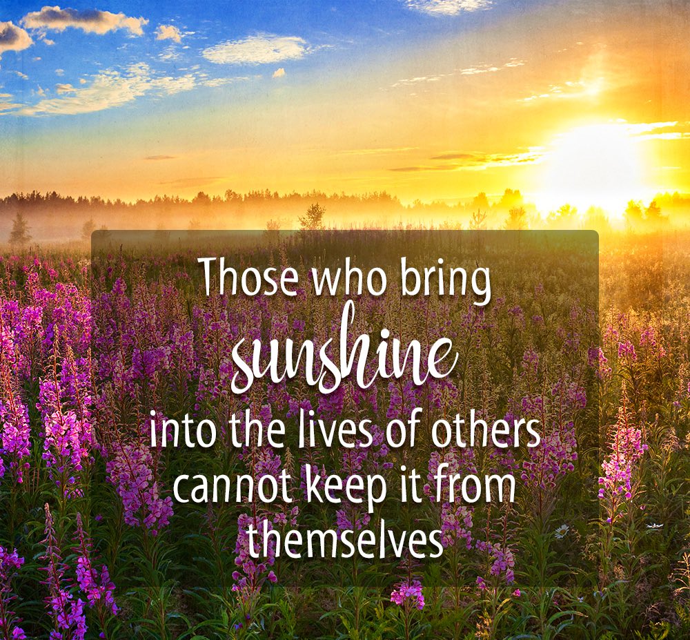suziday123's tweet image. Friday Friendly Reminder… Those who bring sunshine to the lives of others cannot keep it from themselves. 🙌☀️#FridayVibes #KindnessMatters #FridayFeeling