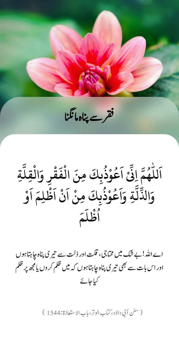 بندہ ایک درہم حرام کا چھوڑ دے یہ ایک لاکھ درہم صدقہ کرنے سے بہتر ہے

صبح بخیر