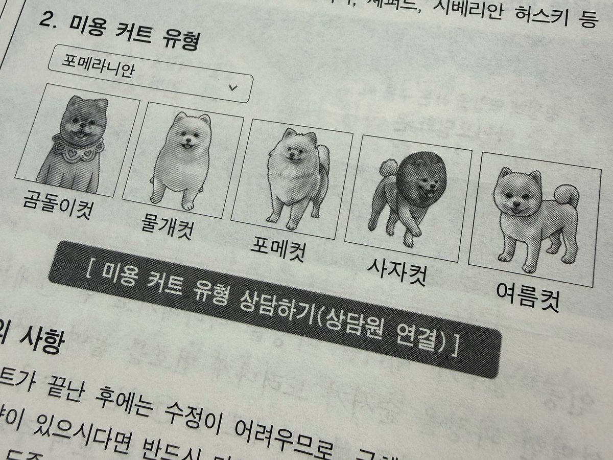 레고갤 tweet media