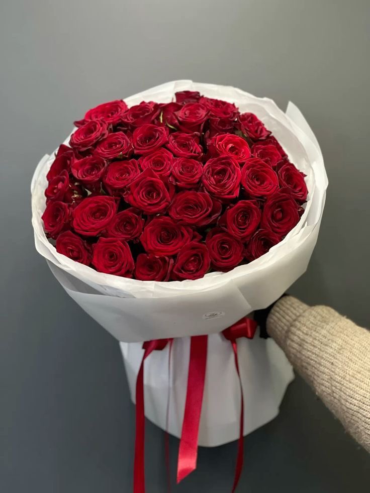 𝒘𝒊𝒕𝒉 𝒍𝒐𝒗𝒆₊♡ tweet media