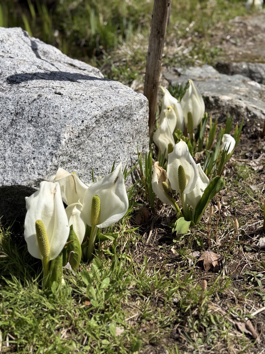 遠野時間｜岩手県遠野市観光情報 tweet media