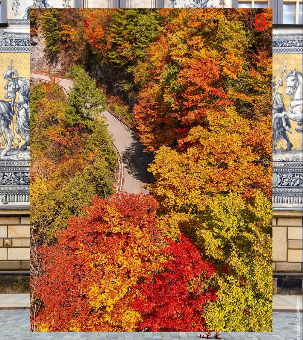 Roberto Paez tweet media