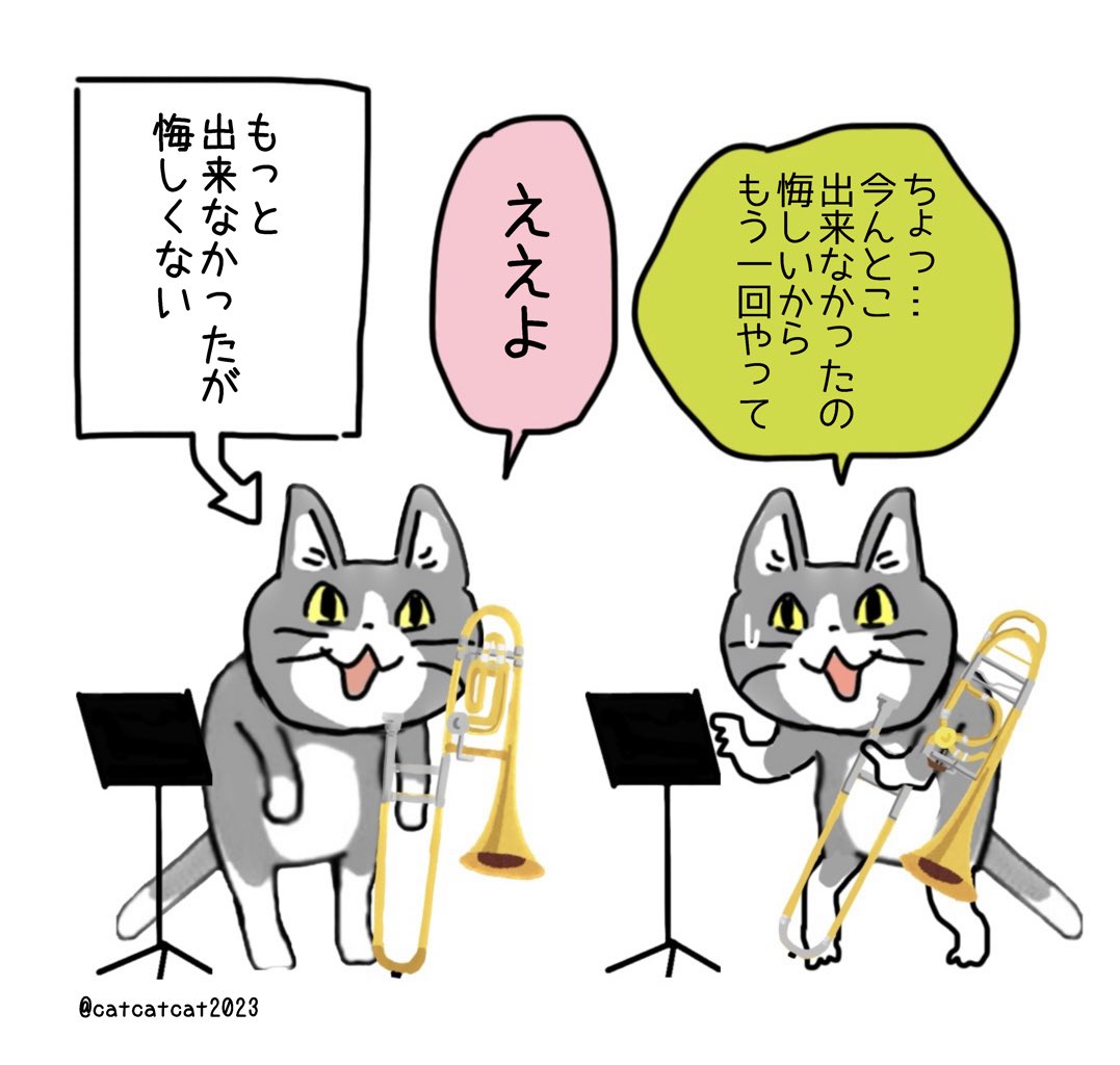 catcatcat2023's tweet photo. 「悔しいからもう一回」って言う猫さんは勤勉で負けず嫌い。 https://t.co/USf1sAuKsD